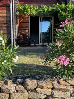 Le Montagnon - 2