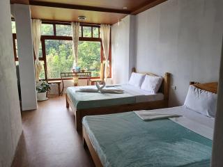 Banaue Greenfields Inn - - 6
