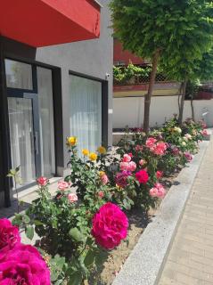 Студио Плумерия / Studio Plumeria - Obzor - 5