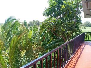 Princess Home stay sigiriya - Sigiriya - 4