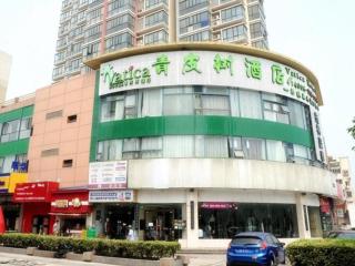 Vatica Shanghai Jiading District Anting Metro Station Moyu Road Hotel - Shanghai - 0