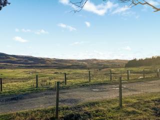 Bracken Pod - Uk48895 - 3