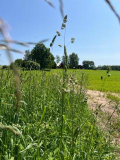 Ilmjärve Glamping - Ilmjärve - 4