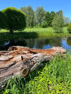 Ilmjärve Glamping - Ilmjärve - 2