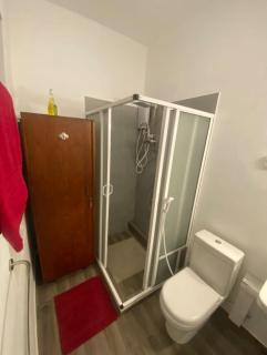 Hotel Ritu Roy - - 4