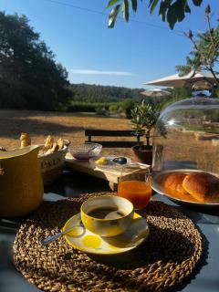 Mas des Lavandes avec vue & Piscine en Provence, 15 min des gorges du Verdon VAR - Tavernes - 6