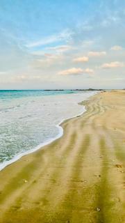 The Beach House , Nilaveli , Trincomalee - Trincomalee - 9