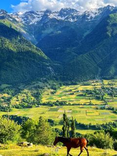 Guesthouse in Lankhvri - 7