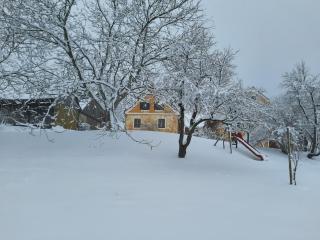 Bauernhaus Posch, Ferienappartements - - 5