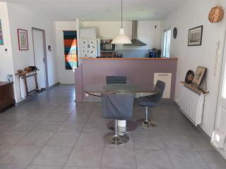 maison 85m2 avec piscine, jardin arboré, vue magnifique Pyrénées, 2 adultes - 2