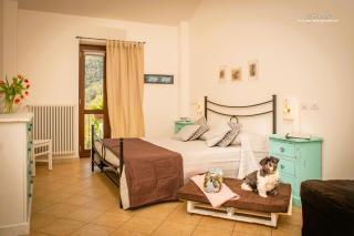 Al Podere - Zuccarello - 1