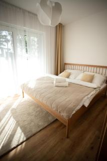 Apartmán se soukromou zahradou u břehu Lipna - Černá v Pošumaví - 8