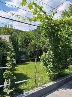 Villa Relax - Prizren - 7
