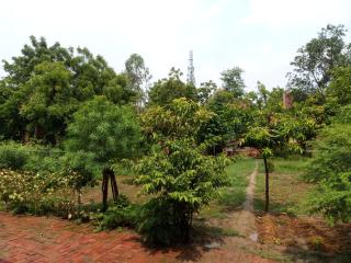 Anita Devi home stay - - 1