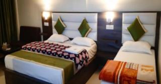 Hotel Green Park - Kharar - 8