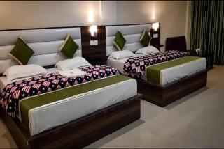 Hotel Green Park - Kharar - 5
