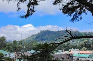 Premier Villa - Nuwara Eliya - 4