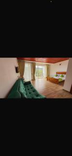 Premier Villa - Nuwara Eliya - 5