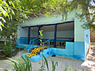 Aslon Homestay - Aydar Kul’ - 4