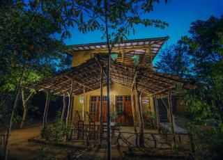 Gadja Safari - Wasgamuwa - 6
