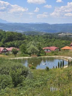 Forest House - Ilijaš - 7