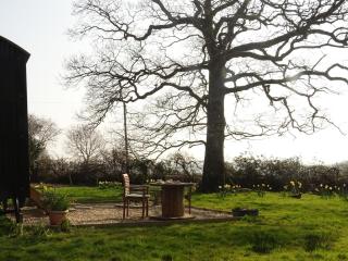 Countryside escape The Oaks Nr Barnstaple Devon - 5