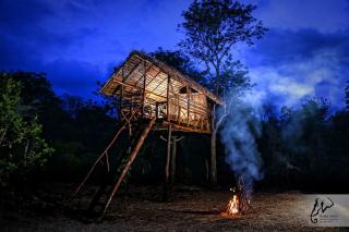 Gadja Safari - Wasgamuwa - 2
