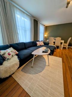 Central and spacious 3-bedroom apartment - Mandal - 4