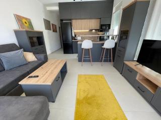 Yellow apartment - Ðenovići - 6
