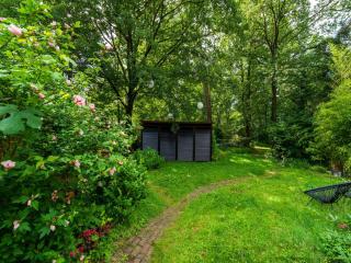 Tranquil holiday home in the middle of nature - Zelhem - 4