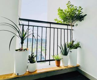 Charming Sea View Retreat in Ha Long - Ha Long - 6