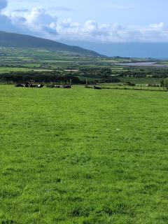 Dingle View - Dingle - 2
