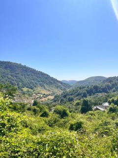 Vila Koçibelli - Dardhë - 5