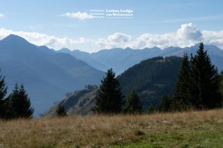 Lottas Lodge am Weissensee - Exklusive Ferienwohnung mit privatem Seezugang - Weissensee - 3