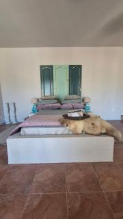 B&B Finca Conchales - Torrox - 8