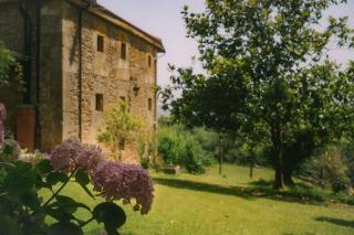 Fuente de Güelo - San Bartolomé de Meruelo - 6
