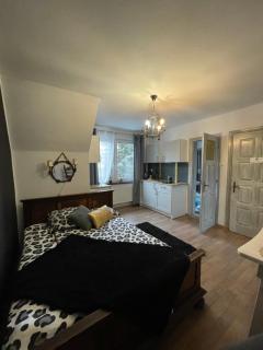 Apartamenty i pokoje u Staszelów - Poronin - 9