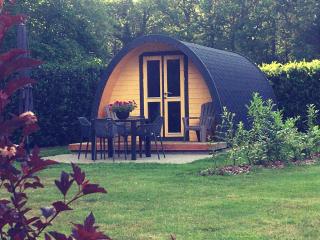 Luxe woodlodge in bosrijke omgeving incl eigen douche en keuken - Bornerbroek - 0