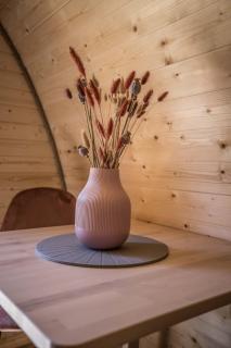 Luxe woodlodge in bosrijke omgeving incl eigen douche en keuken - Bornerbroek - 6