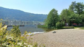 VERONIKA Haus KMB Seeappartement am Ossiacher See mit direktem Seezugang und Hallenbad - Tschöran - 8