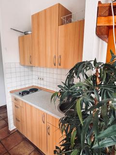 Apartment Molea - Friburgo in Brisgovia - 5
