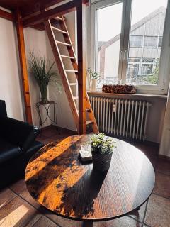 Apartment Molea - Friburgo in Brisgovia - 7