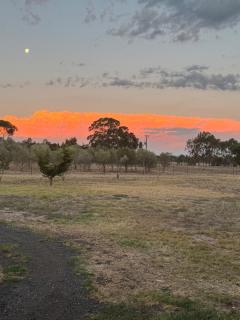 Farm Stay, Feed Sheep & Relax - Diggers Rest - 0