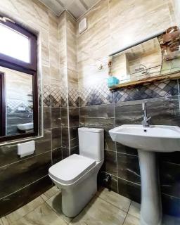 Villa in Bakuriani - 5