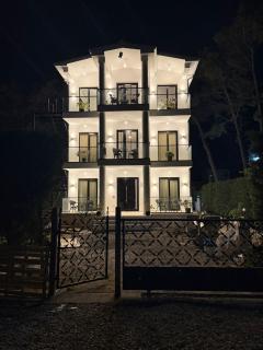 White Pine Villa With Pool - Golem - 7