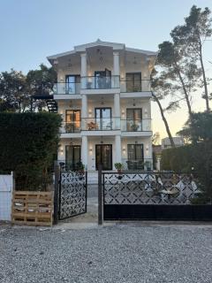 White Pine Villa With Pool - Golem - 4