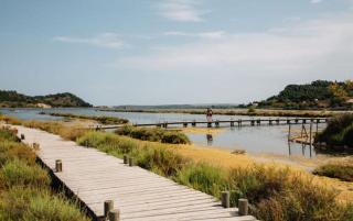 Suite Bleuet - Peyriac-de-Mer - 2