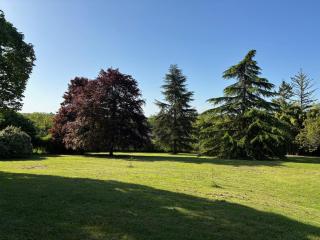 Calme & Accueillant - Beauval - 1