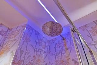 Orchidea Rare - Roma - 9