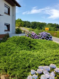 Auf der Heide - Horbach - 9